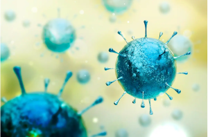Catching a Cold Might Prevent a Severe Case of COVID-19